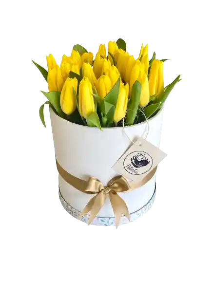 Caja Top De Tulipanes Amarillos