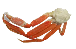 Muelas Snow Crab