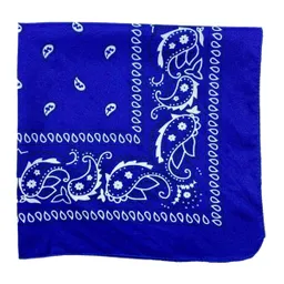 Pañoleta Bandana Estampada Colores Moda Azul Rey