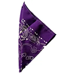 Pañoleta Bandana Estampada Colores Moda Violeta