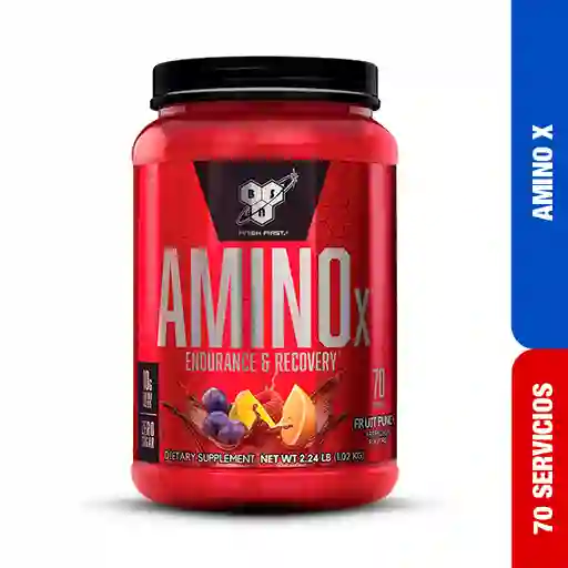 Amino X 70 Serv Fruit Punch