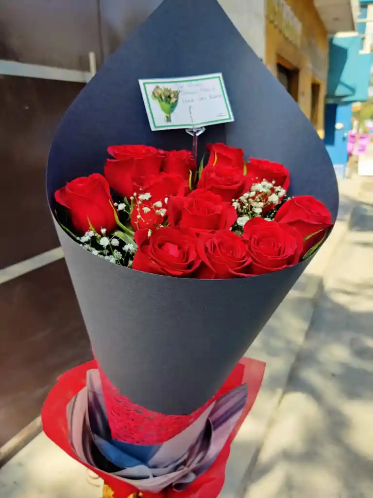 Cono De Rosas Rojas
