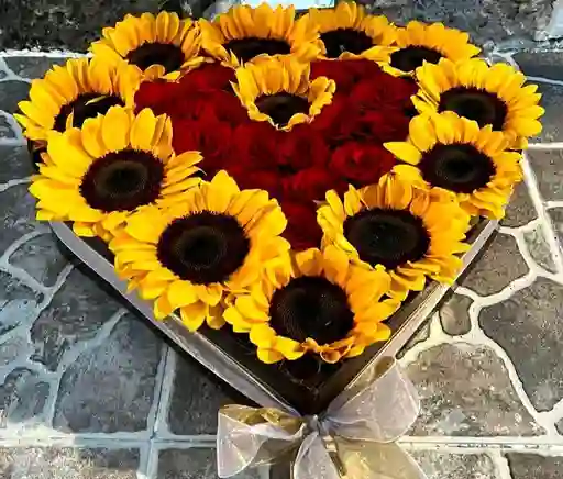 Caja De Girasoles