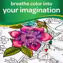 Marcadores Crayola Super Tips X 120 Colores Plumones Lavables Silly Scents Originales Rotuladores