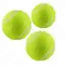 Kit Pelotas Tenis X3 Und Deporte Juego Tennis Raquetas