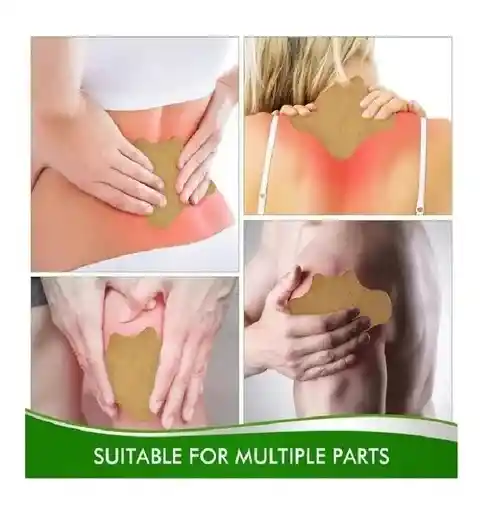Parches Para Dolor Vertebral X10 Unds