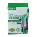 Parches Para Dolor Vertebral X10 Unds