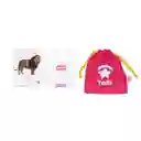 Flashcards Animales Salvajes X 18