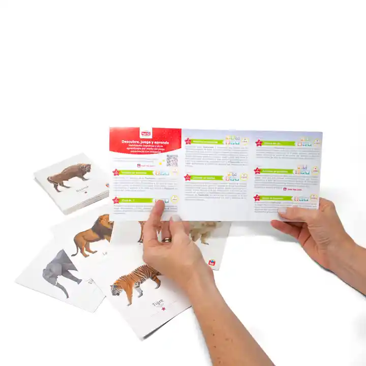 Flashcards Animales Salvajes X 18