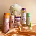  Kit Acelerado ANYELUZ 