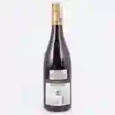 Vino Tinto Patriarche Pinot Noir 750ml Frances