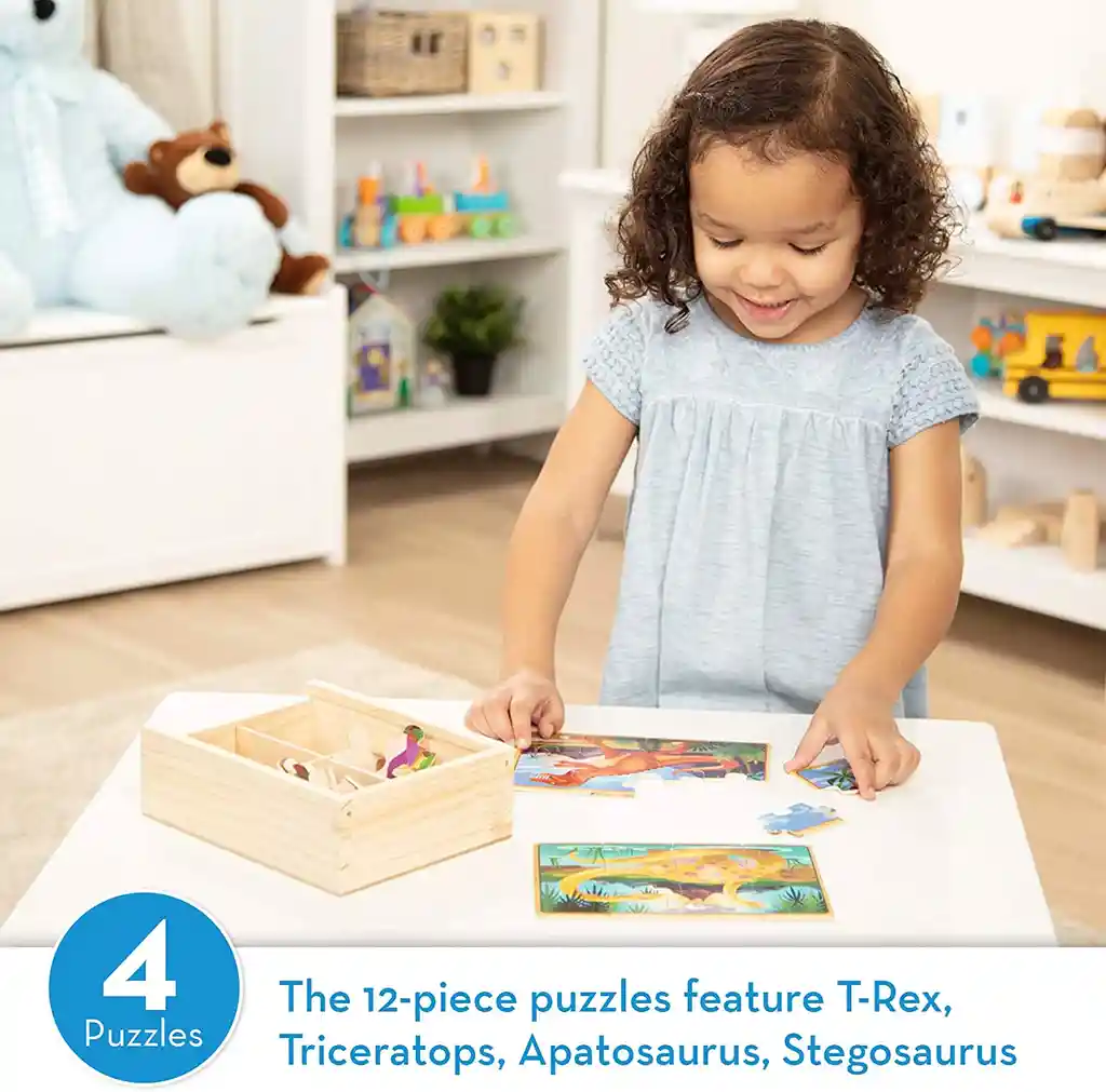 Rompecabezas De Dinosaurio En Madera En Una Caja