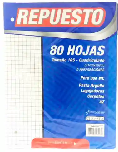 Paquete De Hojas Para Folder Pequeño (ref 95) Cuadriculado X80 Hojas Blancas 3 O 2 Argollas