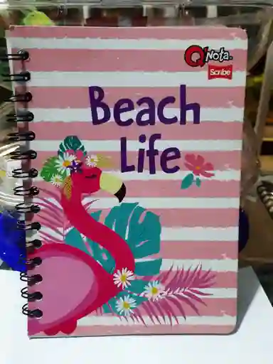 Cuaderno Argollado Rayado De 100 Hojas