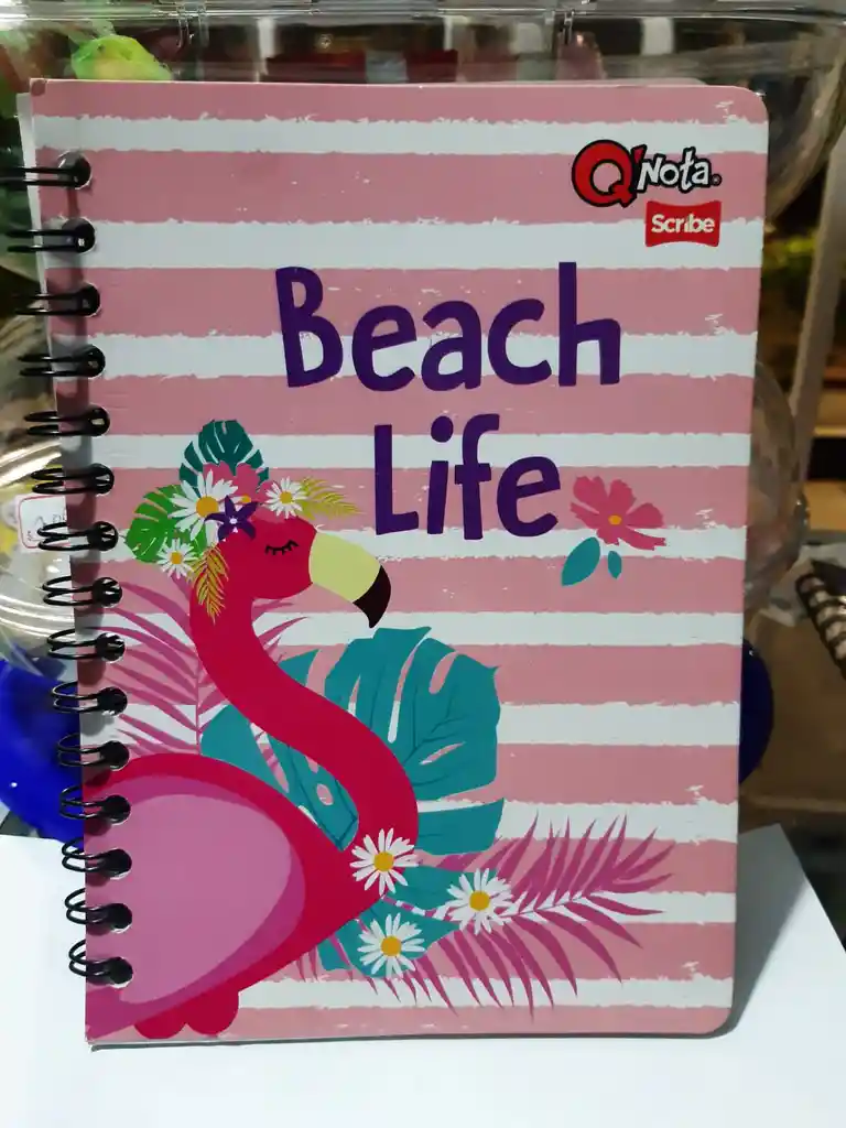 Cuaderno Argollado Rayado De 100 Hojas