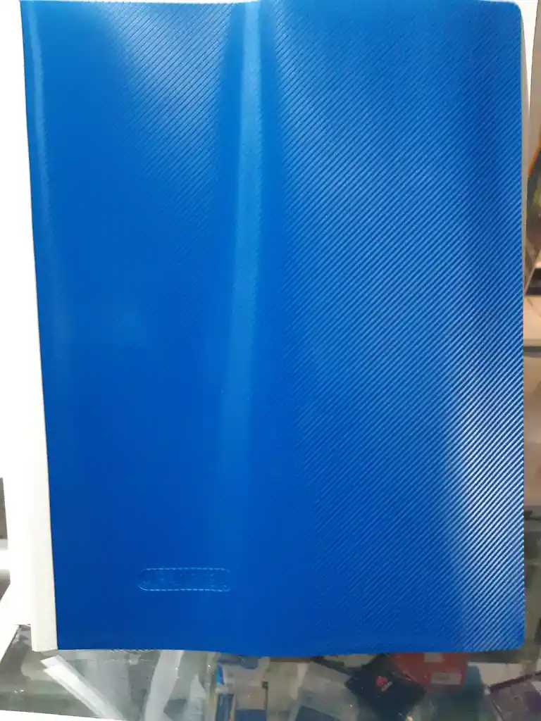 Carpeta Bicelada Tamaño Carta