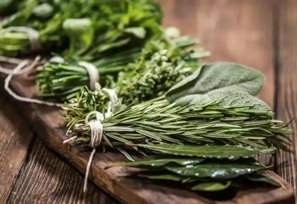 Manojo De Aromaticas Variadas Recien Cortadas De La Huerta