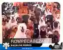 Rompecabezas Puzzle 500 Piezas Perros Mascotas Made In Colombia