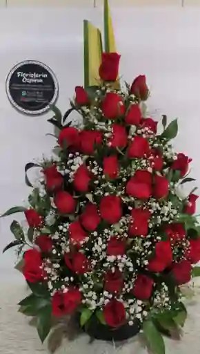 Rosas Rojas De Amor