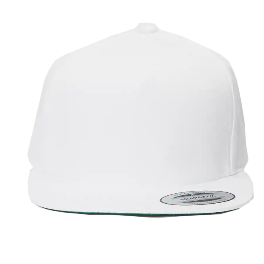 Gorra Plana Snackback Unicolor Blanca Original Unisex Moda ( Blanca)