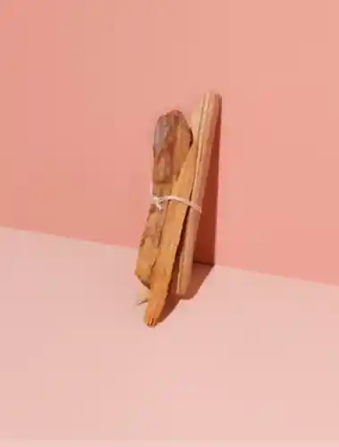 Ritual Energético Fluidez Y Claridad (con Palo Santo)