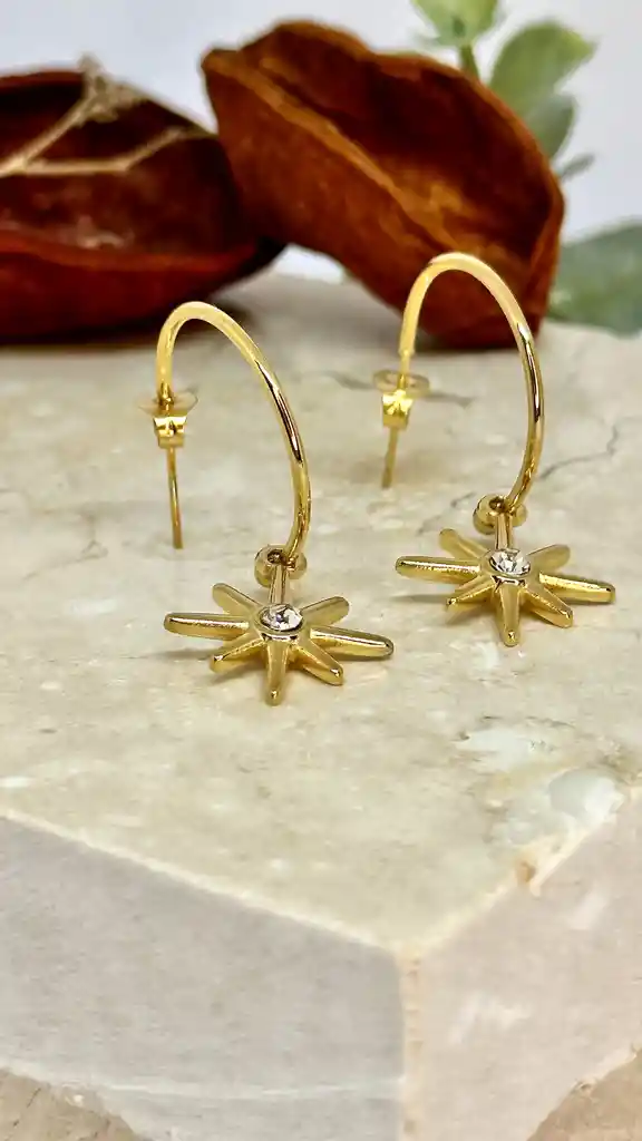 Aretes Estrella