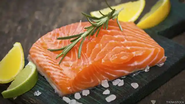 Salmon