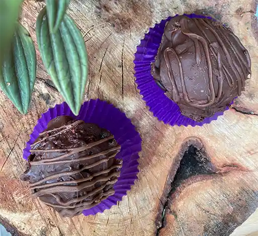  Bites Choco Pasión  Saludables 