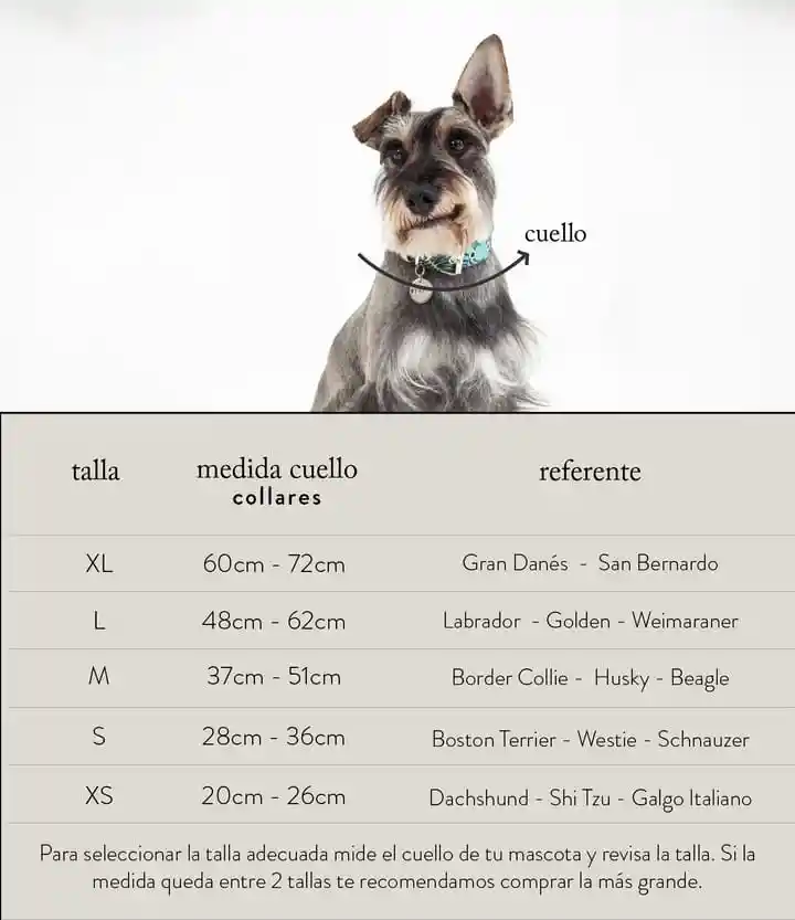 Collar Cuero Navy Y Cafe Talla Xs