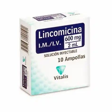 Lincomicina 600mg /2 Ml Ampolla (solucion Inyectable)