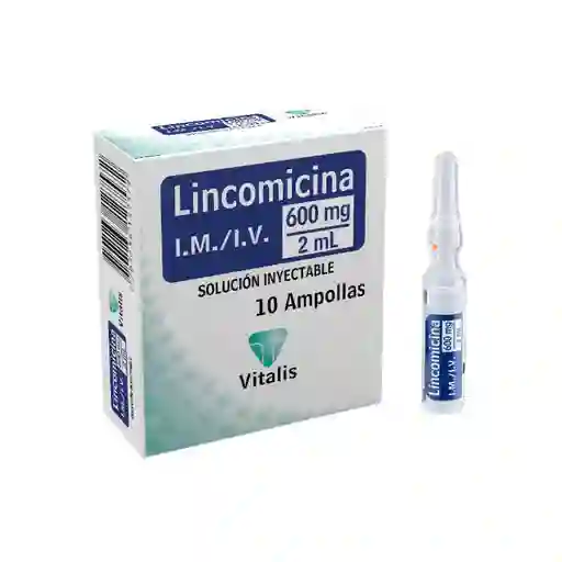Lincomicina 600mg /2 Ml Ampolla (solucion Inyectable)