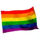 Bandera Lgbt 1mtr X1.5mt Orgullo Gay Grande Exterior