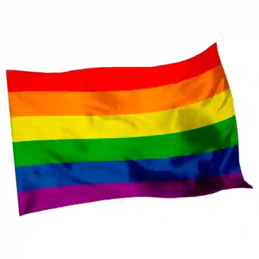 Bandera Lgbt 1mtr X1.5mt Orgullo Gay Grande Exterior