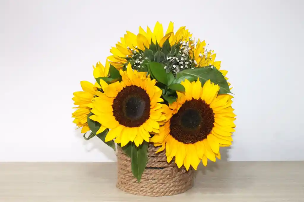 Ramo Italia Girasoles