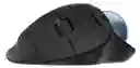 Mouse Trackball Logitech Ergo M575 Negro