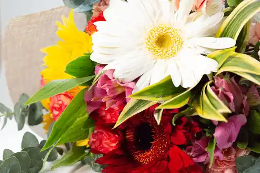 Bouquet De Gerberas, Claveles Y Astromelias