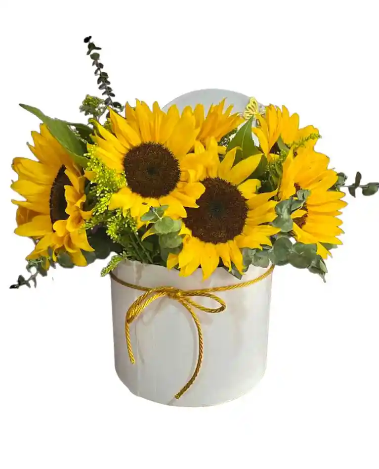 Flores De Girasoles En Caja