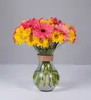 Arreglo Gerbera Rosa Y Margarita Amarilla