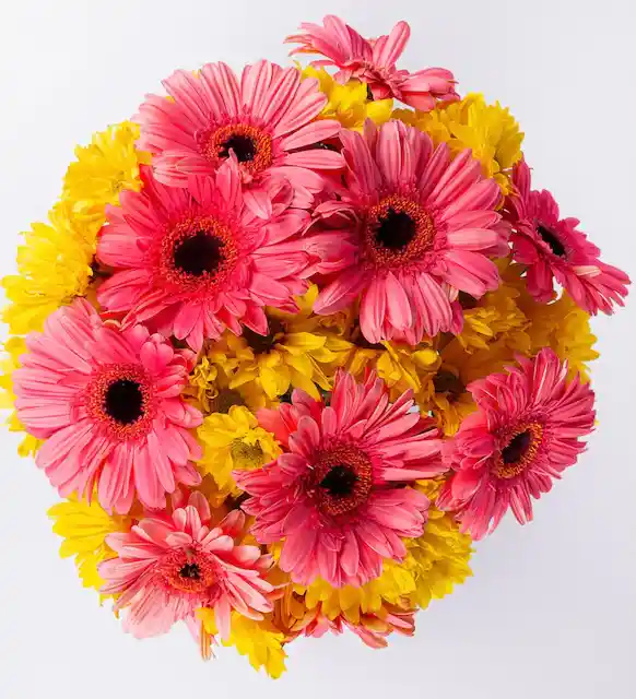 Arreglo Gerbera Rosa Y Margarita Amarilla