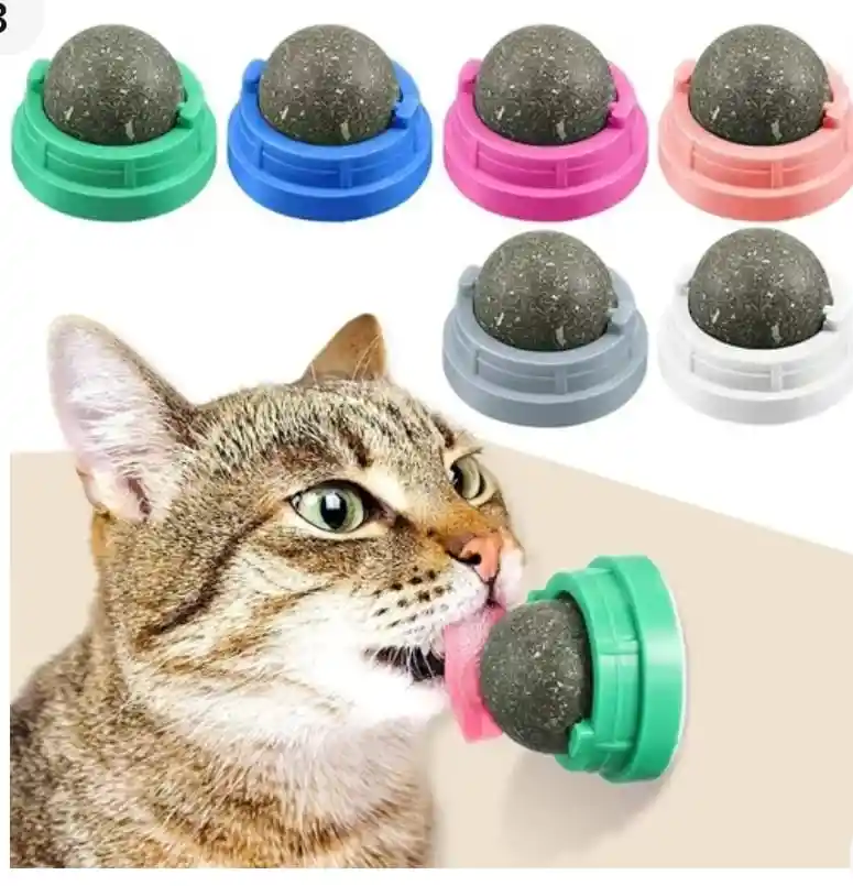 Juguete Bola Catnip Para Gatos X 1un