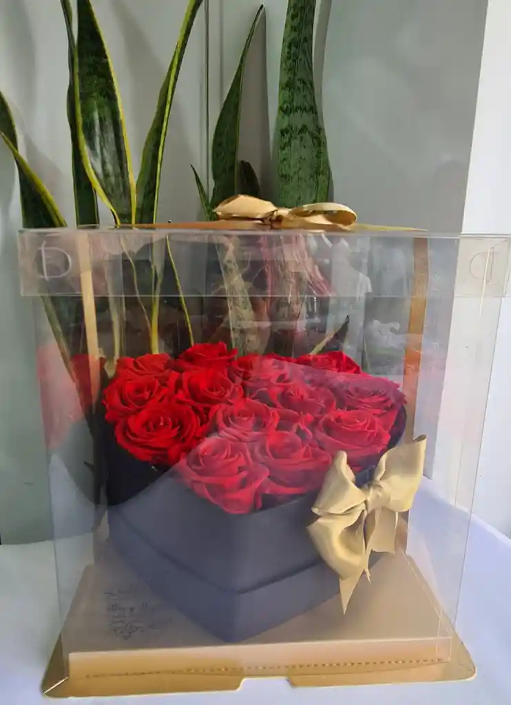 Rosas Preservadas Caja Corazón En Caja Acetato