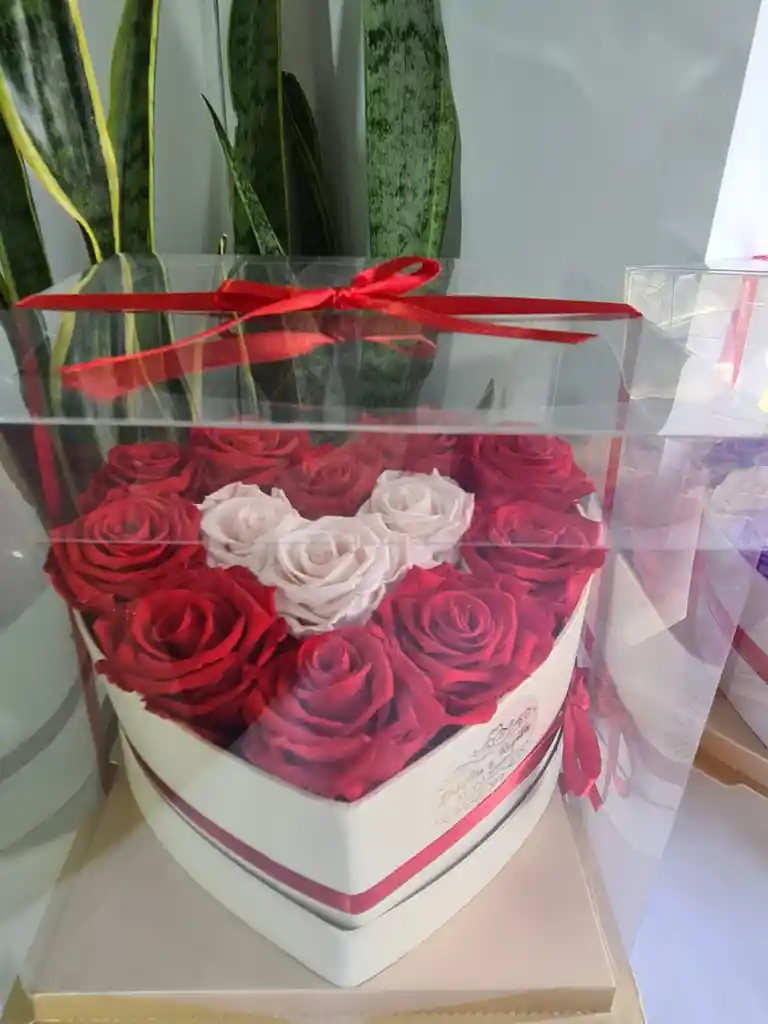 Rosas Preservadas Caja Corazón En Caja Acetato