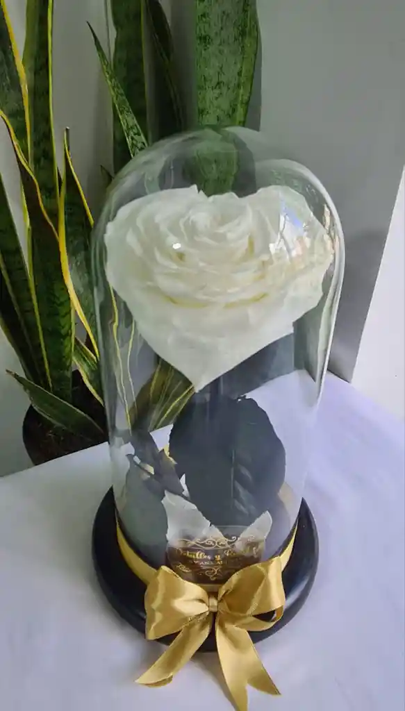 Rosa Corazón Preservada Con Caja De Regalo (color A Disponibilidad)