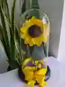 Girasol Preservado En Caja Acetato De Regalo