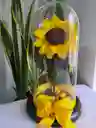 Girasol Preservado En Caja Acetato De Regalo