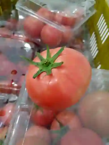 I-tomate Roselina 1000gr Pet