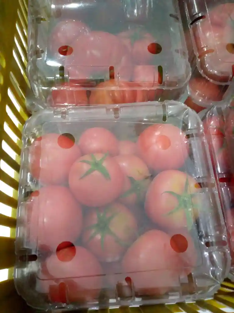 I-tomate Roselina 1000gr Pet