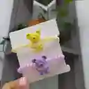Moñitas En Espiral De Osito