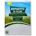 Hoja De Repuesto 80hojas Folder