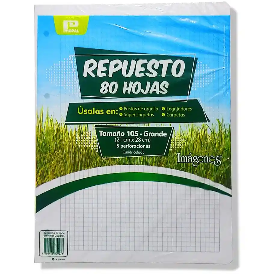 Hoja De Repuesto 80hojas Folder